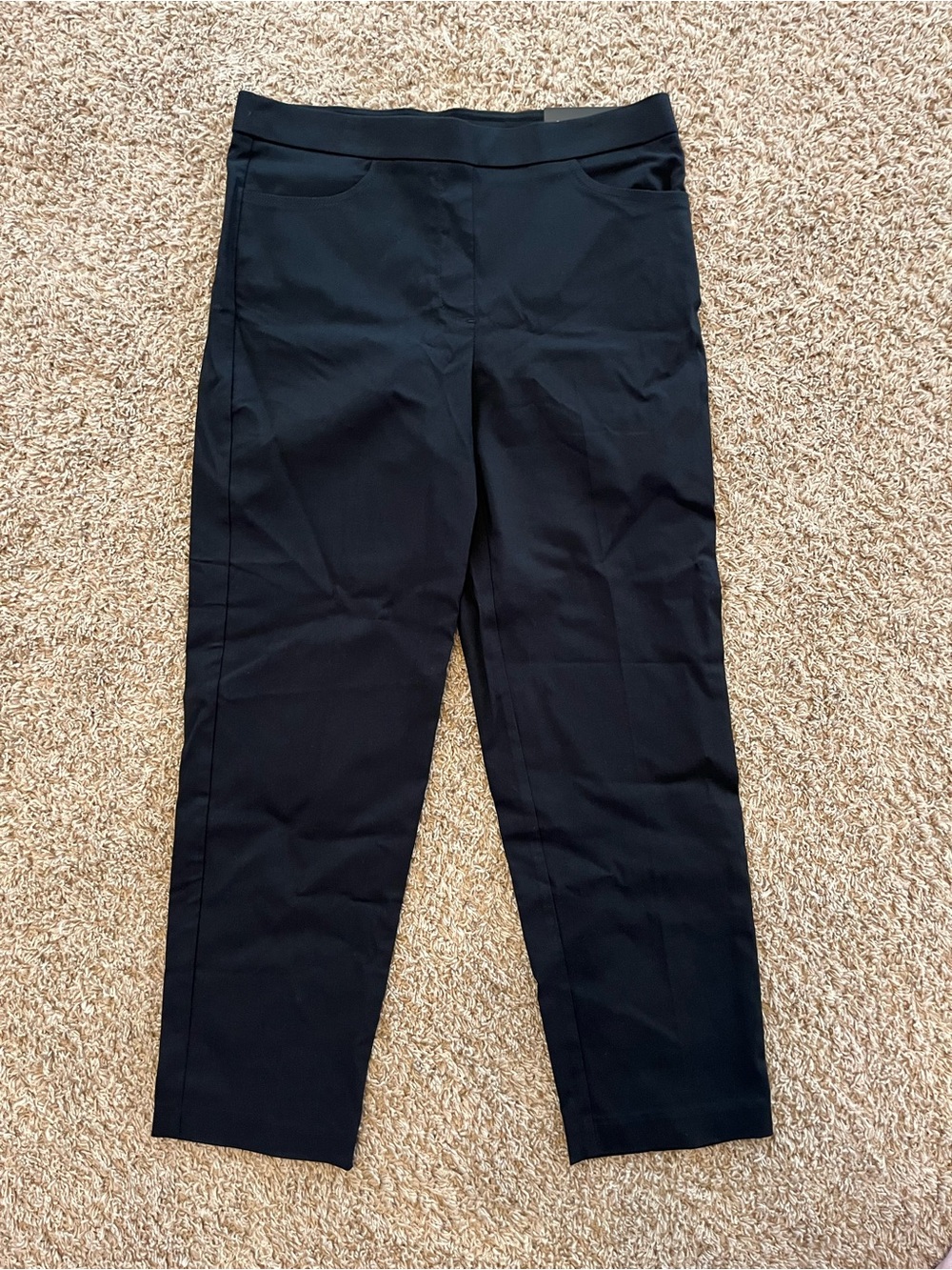 Alfred Dunner Black Straight-Leg Pull-On Pants